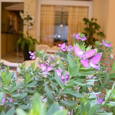 Claudia 2* ロアーノ